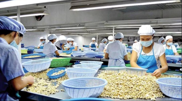 Nghịch lý mặt hàng top đầu thế giới của Việt Nam: Nhập khẩu cao hơn xuất khẩu