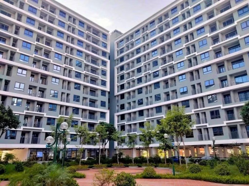 Đà Nẵng: Giá đất tăng vượt xa nhu cầu ở thực, cao nhất hơn 340 triệu đồng/m² - Ảnh 1.