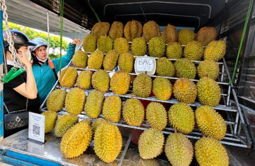 Giá sầu riêng rớt thảm 3 lần sau một tháng, tiểu thương cảnh báo chiêu bán 'hàng dạt' 40.000 đồng/kg