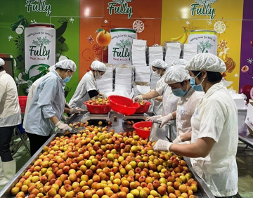 3 thị trường khó tính nhất thế giới chốt đơn gần 43.000 tấn 'quả tiến vua' Việt Nam