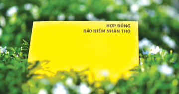 Nghịch lý của bảo hiểm nhân thọ tại Việt Nam: Ai cũng thấy cần, nhưng chưa chắc đã mua