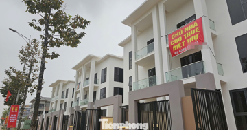 Giao dịch nhà ở thấp tầng Hà Nội giảm mạnh, giá đi ngang