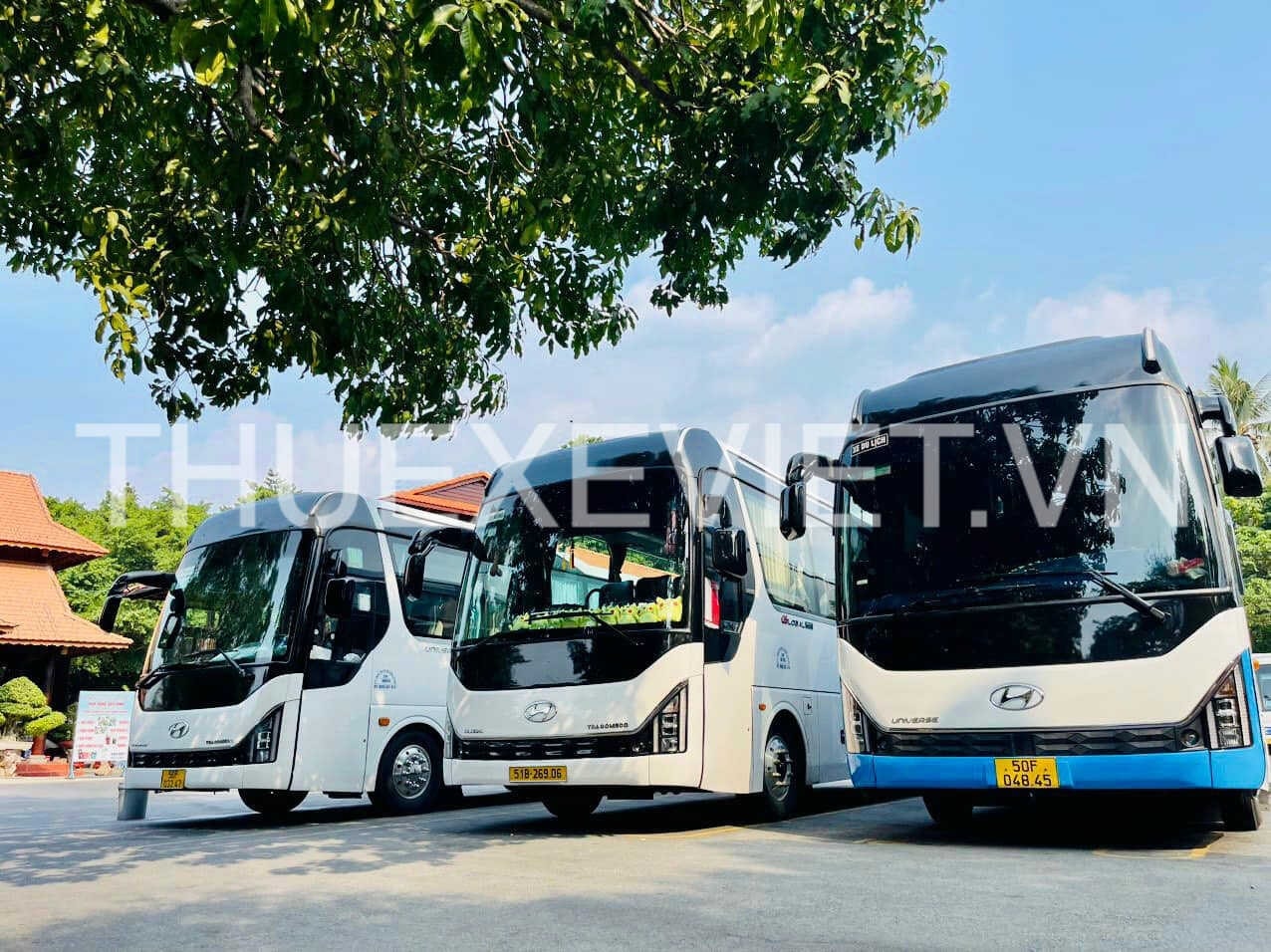 Thuê Xe Việt - Giải pháp thuê xe 29 chỗ tại TPHCM giá cạnh tranh - Ảnh 2.