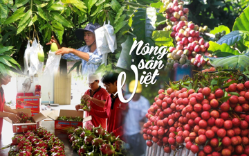 Việt Nam 'hái' ra tiền nhờ xuất khẩu mặt hàng này: 4 tháng bỏ túi 5,4 tỷ USD tiền lãi