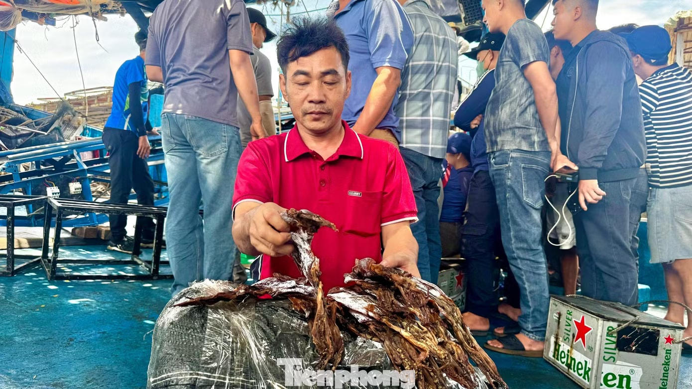 Giá mực cao chưa từng có, mỗi tàu thu về chục tỷ đồng sau chuyến đi biển - Ảnh 7.