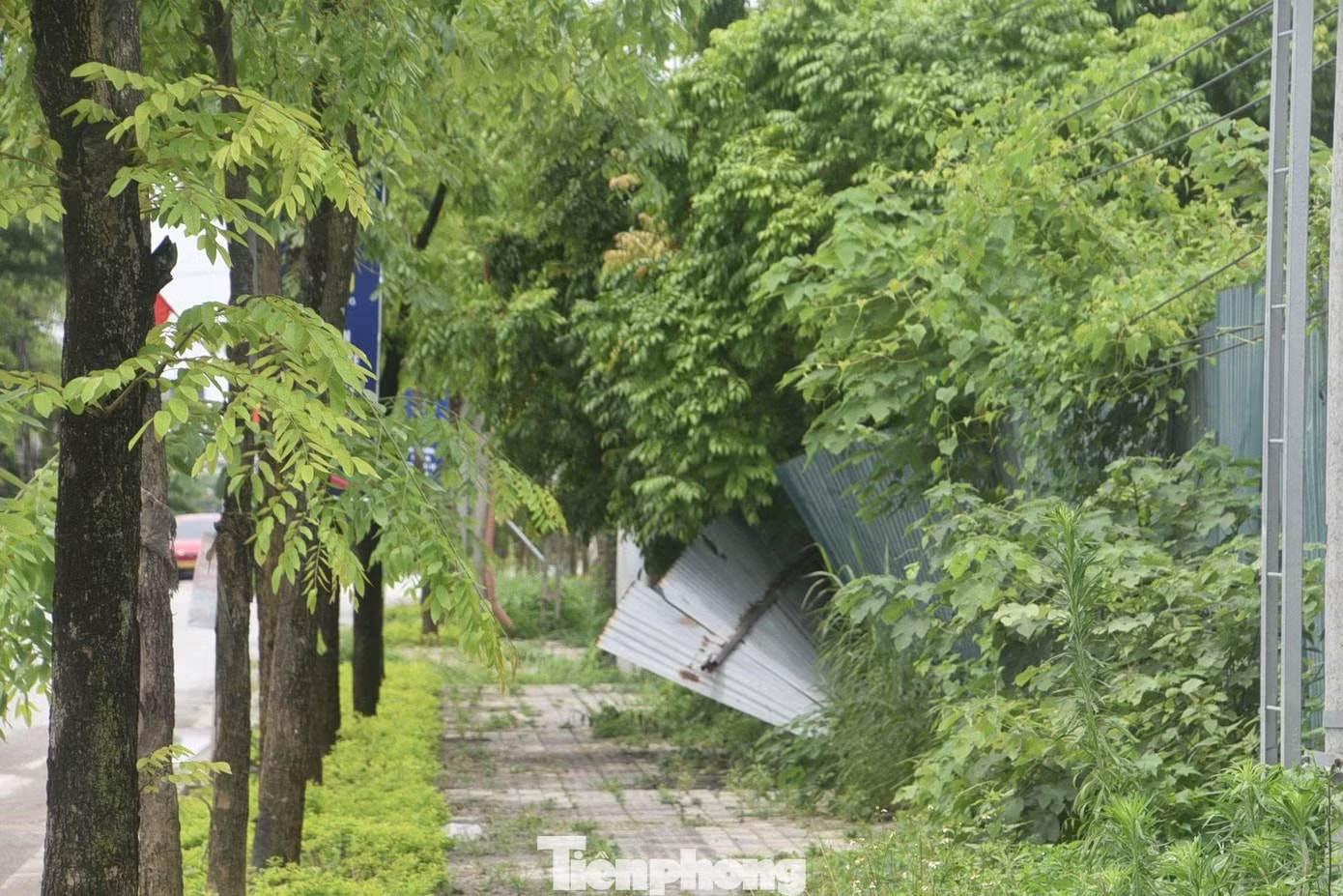 Cận cảnh khu đô thị giãn 200.000 dân nội đô sau 3 tháng khởi công - Ảnh 4.