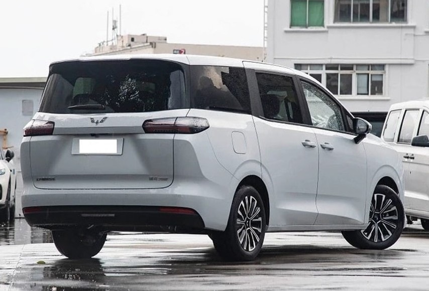 mpv-1.jpg
