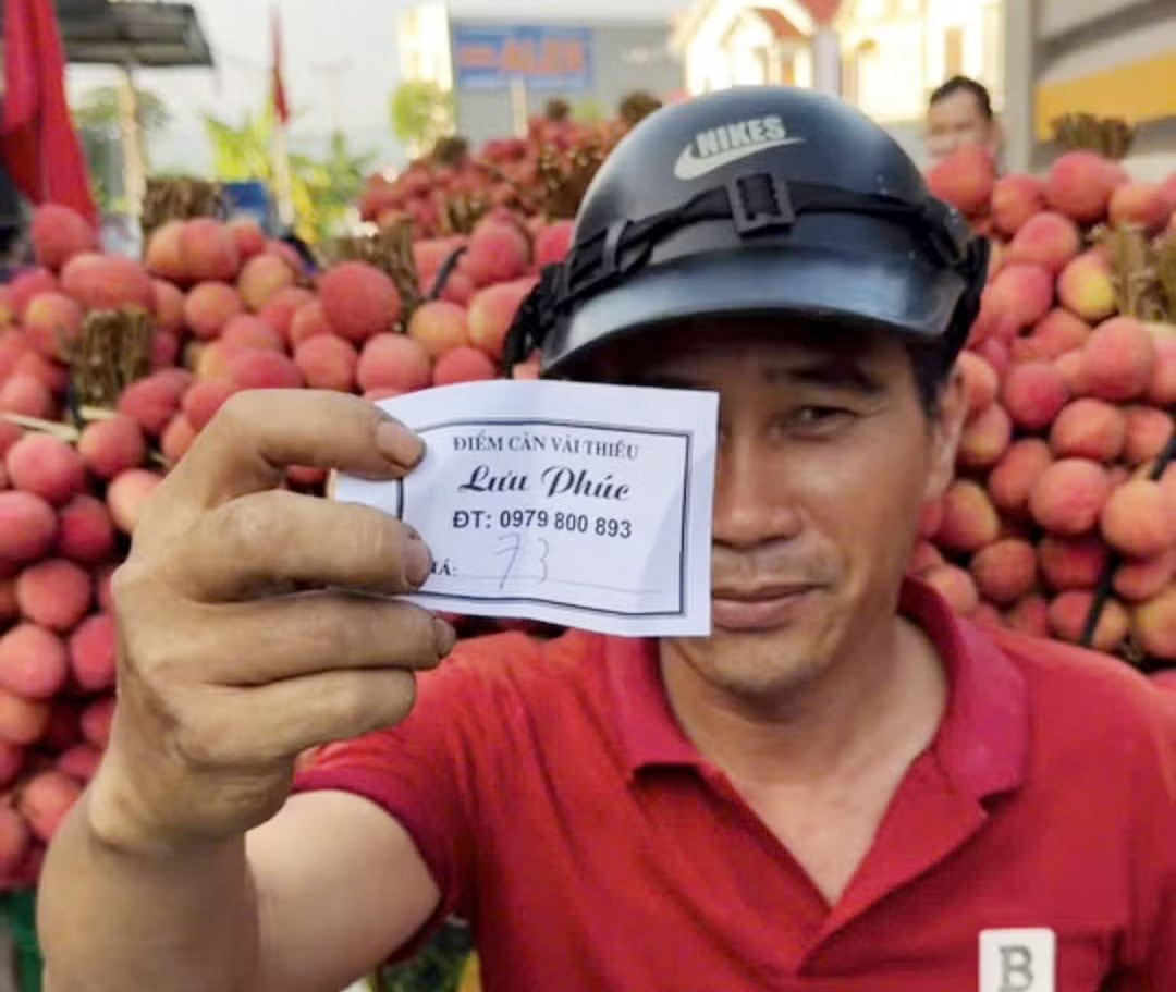 Chưa từng có: 300.000 đồng/kg vải thiều tại vườn - Ảnh 3.