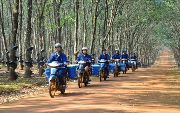 Dự án cao su quy mô lớn tại Lào mang về 600 triệu USD cho một doanh nghiệp Việt, tạo sinh kế cho 5.700 lao động