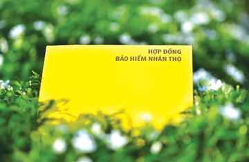 Thêm 'tân binh' gia nhập thị trường bảo hiểm nhân thọ Việt Nam