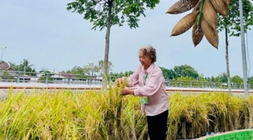 Nữ Phó Giáo sư quê 'đất học' được mệnh danh 'bà chúa lúa lai': Là Anh hùng Lao động, học trò của cố Giáo sư Lương Định Của