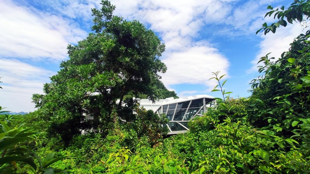 soisim2_1781256243.jpg