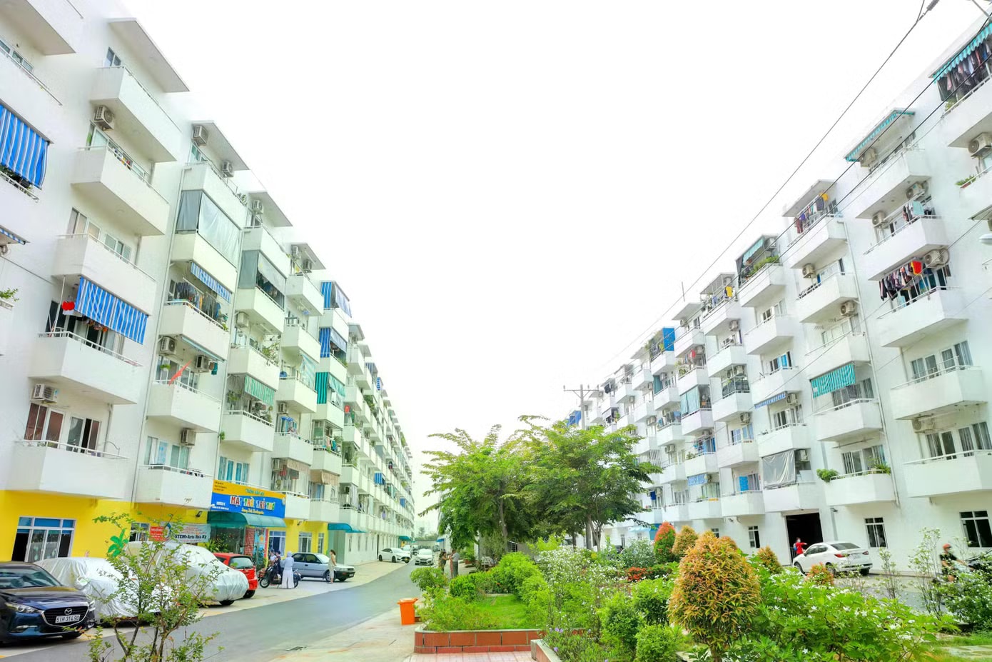 Loạt 'ông lớn' BĐS đăng ký, khi nào TPHCM có nhà ở cho thuê? - Ảnh 1.