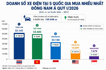 Mua ô tô điện nhiều thứ 2 Đông Nam Á, người Việt có lựa chọn khác biệt với các nước láng giềng