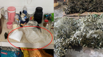 Phát hiện, thu giữ 3.000 chiếc bánh tro chứa chất cấm của bà M. ngay trước Tết Đoan Ngọ