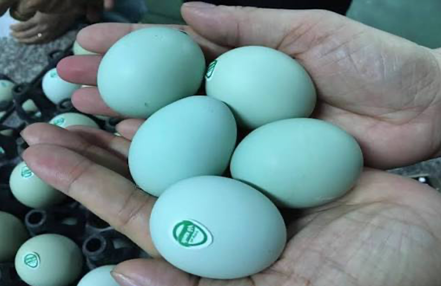 Ảnh màn hình 2026-06-19 lúc 14.48.28