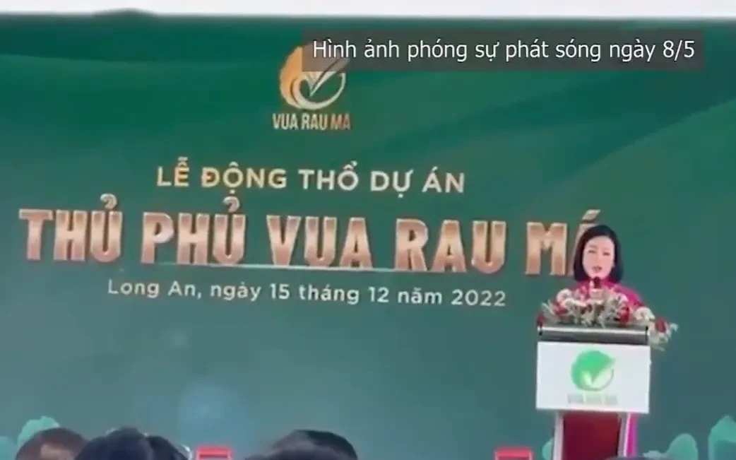 Lừa đảo hơn 1.000 tỷ đồng từ hàng trăm nhà đầu tư, Chủ tịch công ty rau má bị khởi tố - Ảnh 1.