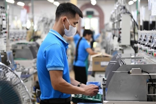 Chính sách thuế nên tạo động lực thay vì tạo áp lực đối với quá trình chuyển đổi lên doanh nghiệp.