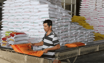 Quốc gia nhập khẩu gạo nhiều nhất thế giới dễ bỏ lỡ mục tiêu 10 tỷ USD với Việt Nam