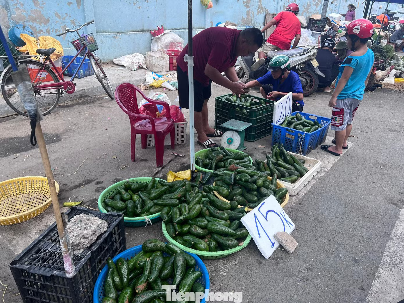 Bơ vào mùa đổ đống, giá chỉ từ 15.000 - 20.000 đồng/kg Lý do giá trái cây mùa hè ở TPHCM... rẻ 'sập sàn' - Ảnh 1.