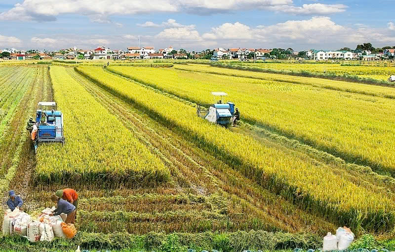 Chính sách thuế mới giúp hộ nghèo được miễn thuế đất nông nghiệp