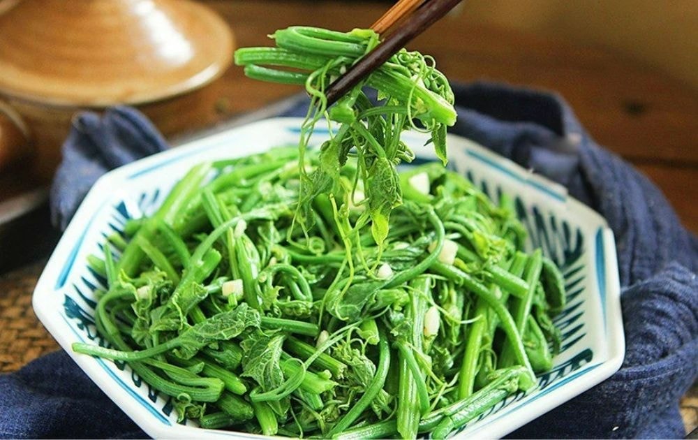 gọn su su xào tỏi là đặc sản nổi tiếng ở Tam Đảo (Ảnh- danviet.vn)