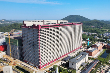Không chăn thả truyền thống, một doanh nghiệp vừa trình Hà Nội dự án đưa hàng ngàn con lợn lên sống trong các tòa nhà 'chung cư' công nghệ cao