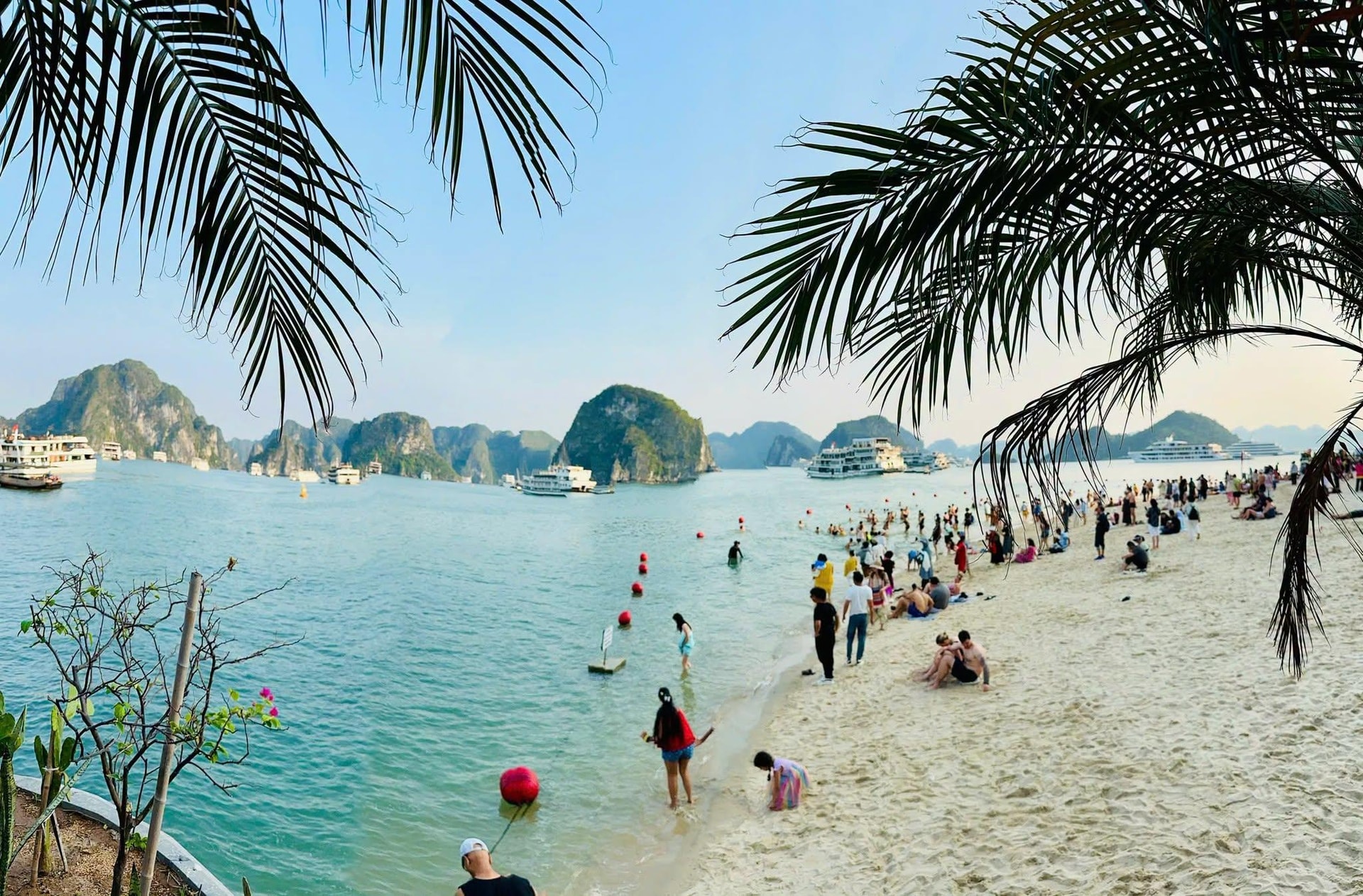 halong2_1780828288.jpg