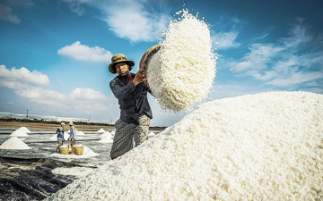 'Vàng trắng' của biển ê hề, Việt Nam vẫn chi gần 500 tỷ nhập khẩu từ đầu năm đến nay