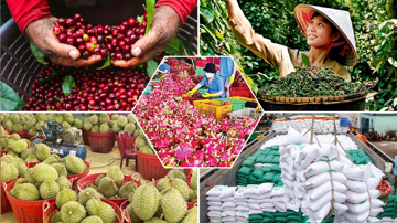 Hơn 18.500 nông sản Việt Nam chính thức được cấp 'hộ chiếu'