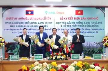 Bầu Đức tăng hiện diện tại Champasak (Lào): Tháng trước nhận 5.000ha đất trồng cà phê, tháng sau tài trợ đội bóng chuyên nghiệp trong 3 năm