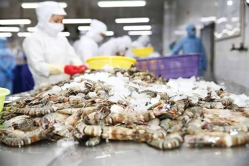 Chuyên gia: Xuất khẩu tăng cao nhưng FDI chiếm 80% kim ngạch, doanh nghiệp Việt vẫn lép vế