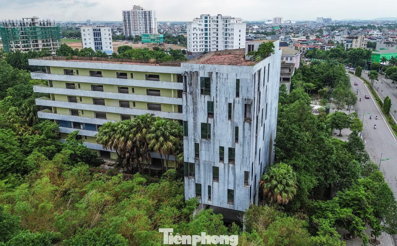 Khu 'đất vàng' hơn 4ha đấu giá thành công vẫn chịu cảnh bỏ hoang nhiều năm - Ảnh 8.