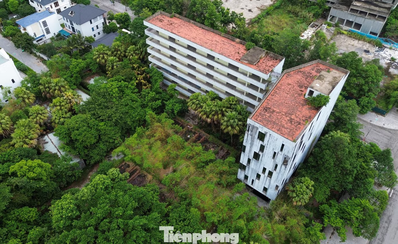 Khu 'đất vàng' hơn 4ha đấu giá thành công vẫn chịu cảnh bỏ hoang nhiều năm - Ảnh 3.