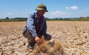 Gần 99% nguy cơ xảy ra 'siêu El Nino', chuyên gia cảnh báo điều đáng lo với Việt Nam