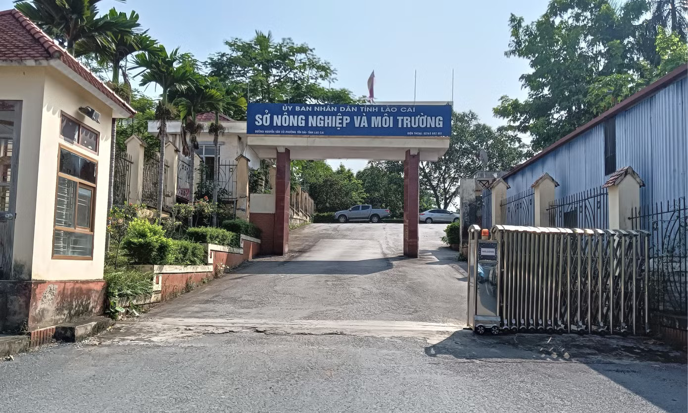 Thông tin mới vụ nam cán bộ Sở Nông nghiệp và Môi trường Lào Cai tử vong tại cơ quan - Ảnh 1.