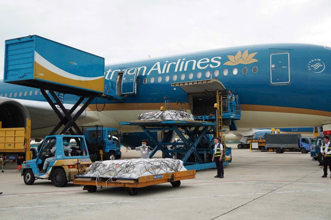 Công tác chuẩn bị đưa thi thể 15 nạn nhân người Ấn Độ về nước được chuẩn bị chu đáo chiều 13/7. Ảnh: Sở Ngoại vụ TPHCM Tiễn đưa thi thể 15 nạn nhân vụ lật ca nô ở Phú Quốc về Ấn Độ - Ảnh 1.