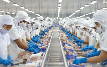 Một doanh nghiệp báo lãi quý II/2026 tăng 200%, 73% tài sản là tiền