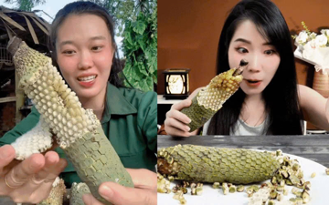 Từng bị bỏ mặc rụng đầy dưới gốc, loại quả này bất ngờ 'gây sốt' khắp Việt Nam: Giá gần 400.000 đồng/quả vẫn khó mua