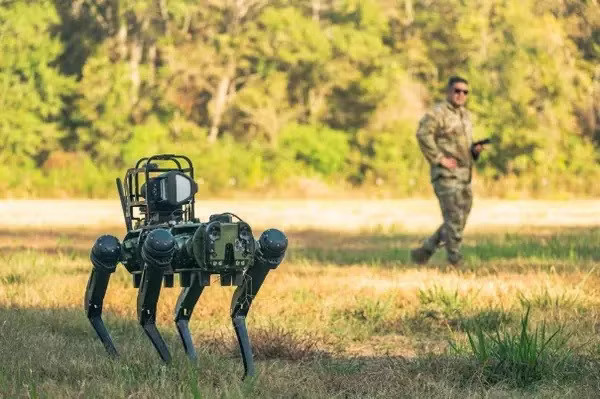 Lo ngại Lầu Năm Góc đang chế tạo robot sát thủ trong tầng hầm đã dẫn đến các quy định nghiêm ngặt hơn về AI. Ảnh: Business Insider. 3 hiểm họa lớn của trí tuệ nhân tạo: Từ chiến tranh robot đến ‘ngoại tình’ với AI - Ảnh 4.