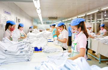 Bất chấp khó khăn, doanh nghiệp Việt vẫn mở rộng quy mô, vốn và lao động