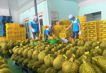 Yêu cầu 'hỏa tốc' thông quan cho nông sản