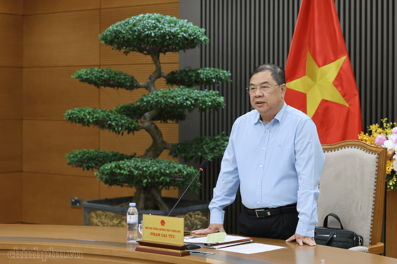 Dự án nhà máy điện hạt nhân đầu tiên của Việt Nam nhận chỉ đạo mới từ Phó Thủ tướng - Ảnh 1.