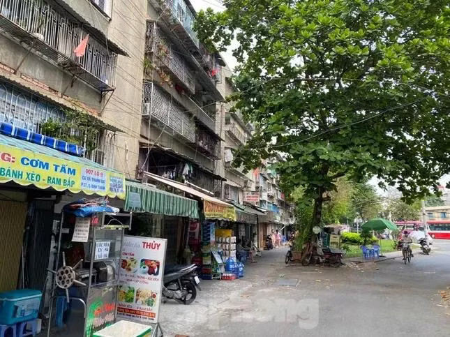 Đến nay, TPHCM chỉ có 72/220 lô chung cư cũ được kiểm định xong, đạt tỷ lệ 32,72%. Kiểm định hàng trăm khu chung cư cũ trong tháng 7 - Ảnh 1.