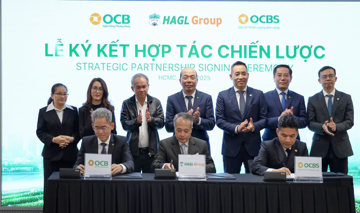 Công ty chứng khoán là đối tác của HAGL vừa báo lãi quý II/2026 tăng hơn 4.000%