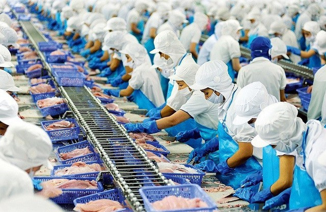 Tôm và cá tra là 2 mặt hàng chủ lực của thủy sản Việt Nam xuất khẩu. Ảnh minh họa