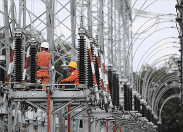 Doanh nghiệp điện quy mô gần 400 tỷ đồng triệu tập cổ đông, ngay sau khi lãnh đạo bị khởi tố