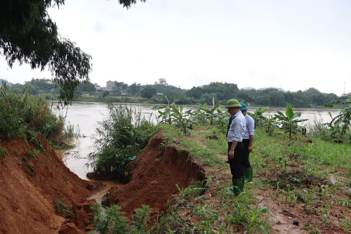 Mưa lớn kéo dài gây sạt lở đe doạ đến 34 hộ dân tại phường Âu Lâu. Mưa lớn gây sạt lở, ngập úng nhiều nơi, Lào Cai cảnh báo khẩn - Ảnh 3.