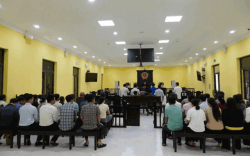 Tuyên phạt hơn 53 năm tù đối với cựu Phó Chi cục trưởng Nguyễn Việt Triều và 5 đồng phạm