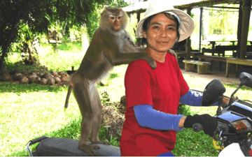Quốc gia gần Việt Nam có ngôi trường chỉ tuyển 'sinh viên' khỉ : Sở hữu thủ đô có tên dài nhất thế giới, cấm người dân cởi trần khi lái xe